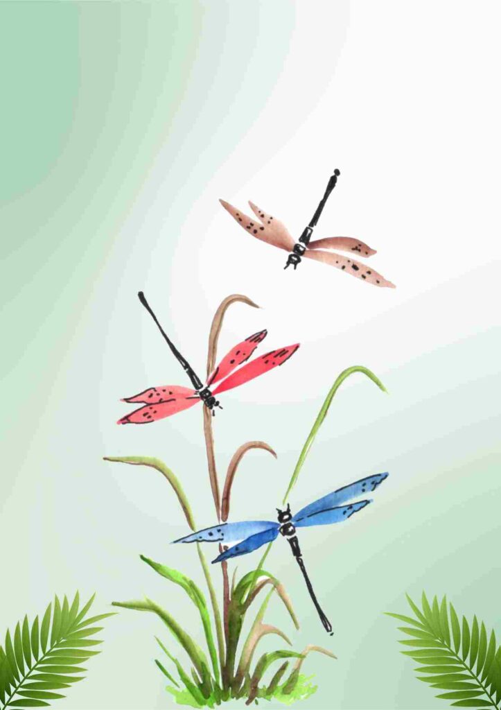 untitled design 11zon